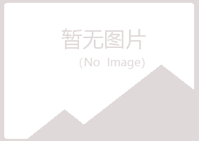 岢岚县埋没能源有限公司